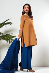 Kyra: Rust Dress With Hand Work - 486